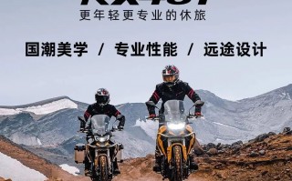 面对DL250和CB400X两大劲敌，RX401为何还能吸引老司机？