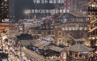 SR4Max双人漫游记：有空吗？一起磕CP