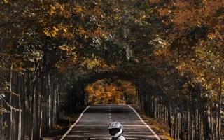 ADV150 | 14000+公里有感
