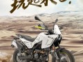 贝纳利BKX250：朋友，“玩”起来吧！