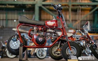 小车大玩：机械增压的1969 Bonanza minibike