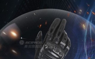 赛羽摩托车骑行手套机车防摔碳纤维骑士赛车保暖冬季防水手套四季 赛羽摩托车骑行手套机车防摔碳纤维骑士赛车保暖冬季防水手套四季